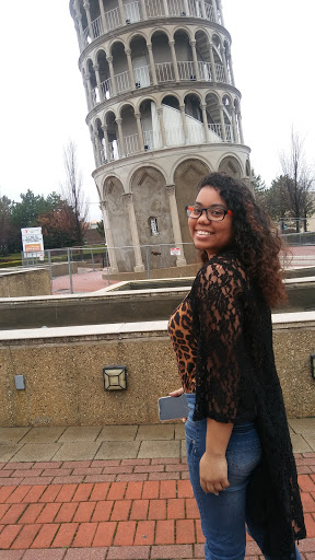 Tourist Attraction «Leaning Tower of Niles», reviews and photos, 6300 Touhy Ave, Niles, IL 60714, USA