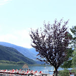 Photo n°2 de l'avis de Gerda.u fait le 03/09/2021 à 19:49 sur le  Hotel Seegarten à San Giuseppe al Lago