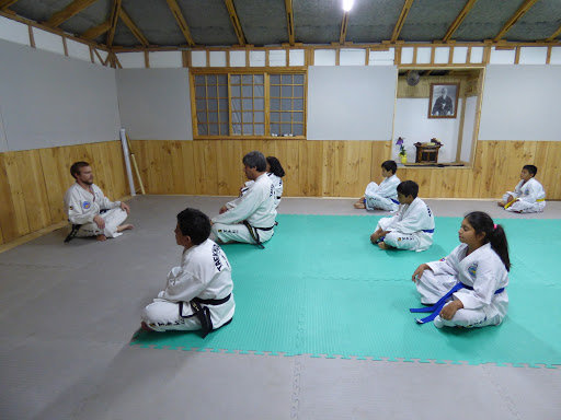 In Nae Kwan Taekwon-Do ITF