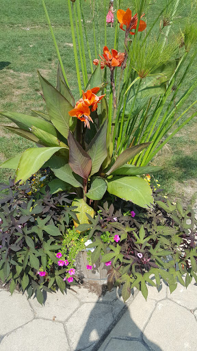 Winery «Round Barn Winery, Distillery & Brewery», reviews and photos, 10983 Hills Rd, Baroda, MI 49101, USA