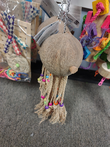 Bird Shop «In A Pickle Parrot Shop», reviews and photos, 7924 Broadview Rd, Broadview Heights, OH 44147, USA