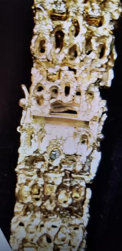 Jeweler «Acosta Jewelers», reviews and photos, 2516 Sheridan Blvd, Denver, CO 80214, USA