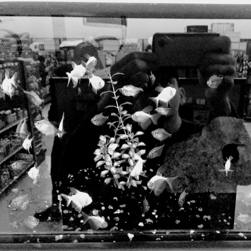 Pet Supply Store «Petco Animal Supplies», reviews and photos, 1621 Emmet St N, Charlottesville, VA 22901, USA