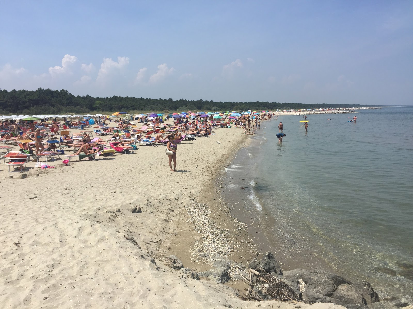 Foto di Lido di Classe II con dritto e lungo