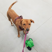 The Coventry School Inc - Photo 9 - Car repair in Columbia, MD, Columbia