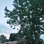 Photo n°9 de l'avis de Andrea.i fait le 05/05/2018 à 21:25 sur le  Chiosco Ai Renai à Castelfiorentino