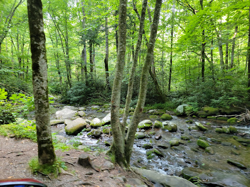 National Park «Great Smoky Mountains National Park», reviews and photos