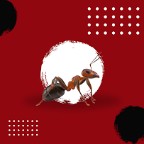 Integrity Pest Management San Jose - Photo 2 - Car repair in , San Jose