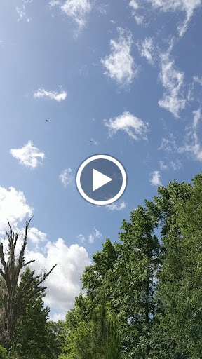 Nature Preserve «Conner Preserve», reviews and photos, 22500 FL-52, Land O Lakes, FL 34637, USA