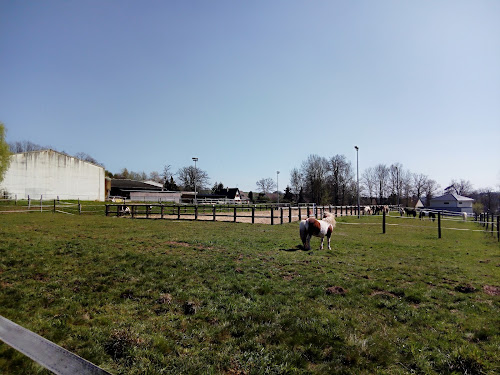 Centre équestre L'étrier Ardennais Givonne