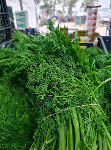 Νέα Δημοτική Αγορά Νο 8-9-10-14, Χαλκίδα 341 00