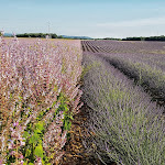 Photo n° 5 de l'avis de christian.c fait le 01/07/2018 à 11:39 pour Parc naturel régional du Verdon à Moustiers-Sainte-Marie