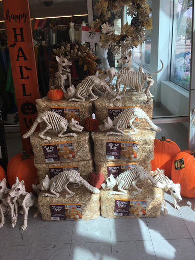 Fabric Store «Jo-Ann Fabrics and Crafts», reviews and photos, 5705 Sunrise Hwy, Holbrook, NY 11741, USA