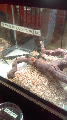 Reptile Store «Cleveland Reptile Show», reviews and photos, 17250 Hummel Rd, Brook Park, OH 44142, USA