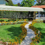 Photo n°6 de l'avis de Eric.e fait le 09/08/2020 à 20:26 sur le  Hotel la Pineta Al Mare à Forte dei Marmi