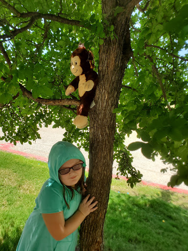 Resort «Great Wolf Lodge», reviews and photos, 100 Great Wolf Dr, Grapevine, TX 76051, USA