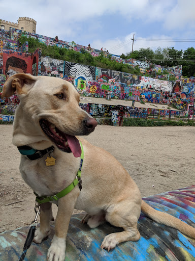 Art Gallery «HOPE Outdoor Gallery», reviews and photos, 1101 Baylor St, Austin, TX 78703, USA