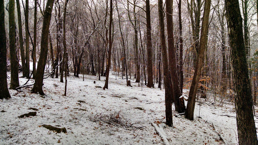 Disc Golf Course «Scarboro Hills Disc Golf Course», reviews and photos, 3130 Sandy Hook Rd, Street, MD 21154, USA