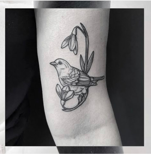 Tattoo Shop «Underground Art, Inc.», reviews and photos, 2287 Young Ave, Memphis, TN 38104, USA