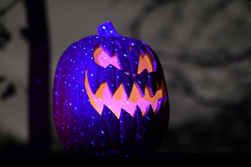Zoo «Jack-O-Lantern Spectacular», reviews and photos, 1000 Elmwood Ave, Providence, RI 02905, USA