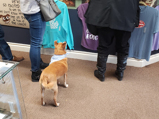 Pet Supply Store «Decadent Dogs», reviews and photos, 206 S River Ave, Holland, MI 49423, USA