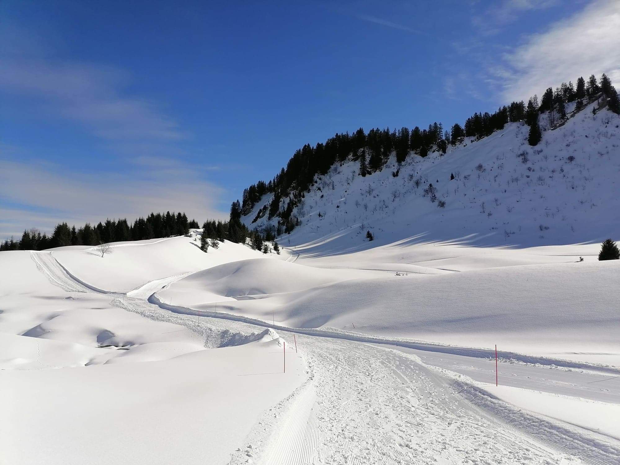 Photo n° 9 de l'avis de Lydia.o fait le 29/02/2020 à 19:49