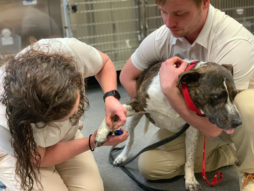 PetStar Animal Care image