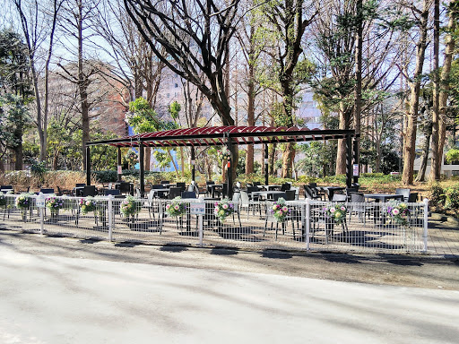 Shinjuku Central Park (Shinjuku Chuo Koen)