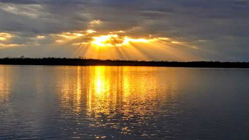 Amphitheater «The Liberty Bank Alton Amphitheater», reviews and photos, 1 Riverfront Dr, Alton, IL 62002, USA