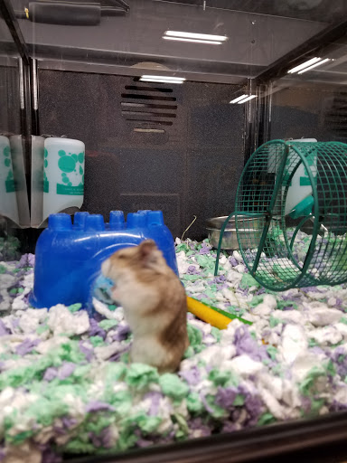 Pet Supply Store «PetSmart», reviews and photos, 2858 Willamette St, Eugene, OR 97405, USA