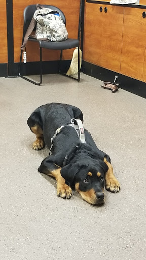 Pet Supply Store «PetSmart», reviews and photos, 2410 Merrick Rd #1, Bellmore, NY 11710, USA