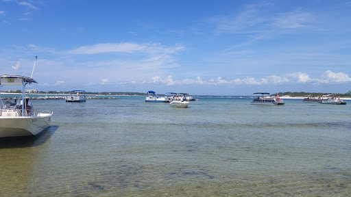 Tourist Attraction «Shell Island Beach», reviews and photos, 4607 State Park Ln, Panama City, FL 32408, USA