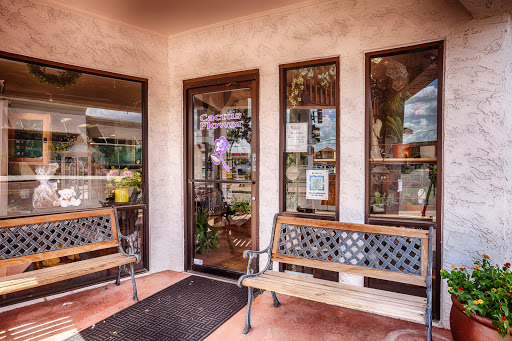 Florist «Cactus Flower Florists», reviews and photos, 10822 N Scottsdale Rd, Scottsdale, AZ 85254, USA
