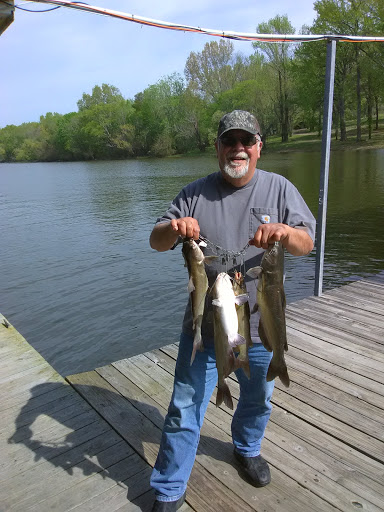 Resort «Mansard Island Resort & Marina», reviews and photos, 60 Mansard Island Dr, Springville, TN 38256, USA