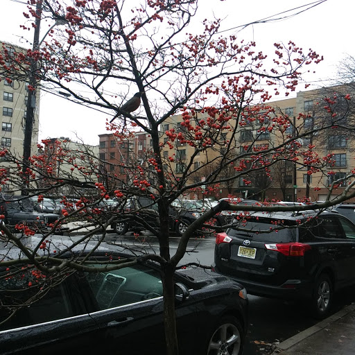 Grocery Store «ACME Markets», reviews and photos, 614 Clinton St, Hoboken, NJ 07030, USA