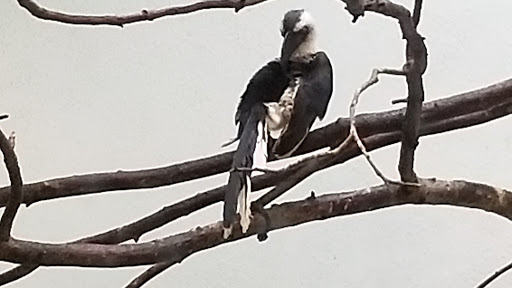 Zoo «Prospect Park Zoo», reviews and photos, 450 Flatbush Ave, Brooklyn, NY 11225, USA