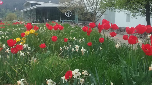 Museum «The Corning Museum of Glass», reviews and photos, 1 Museum Way, Corning, NY 14830, USA