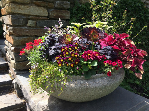 Art Museum «Dumbarton Oaks Museum», reviews and photos, 1703 32nd St NW, Washington, DC 20007, USA