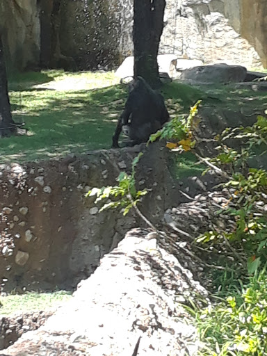 Swimming Pool «Randol Mill Family Aquatic Center», reviews and photos, 1924 Randol Mill Park Rd, Arlington, TX 76012, USA