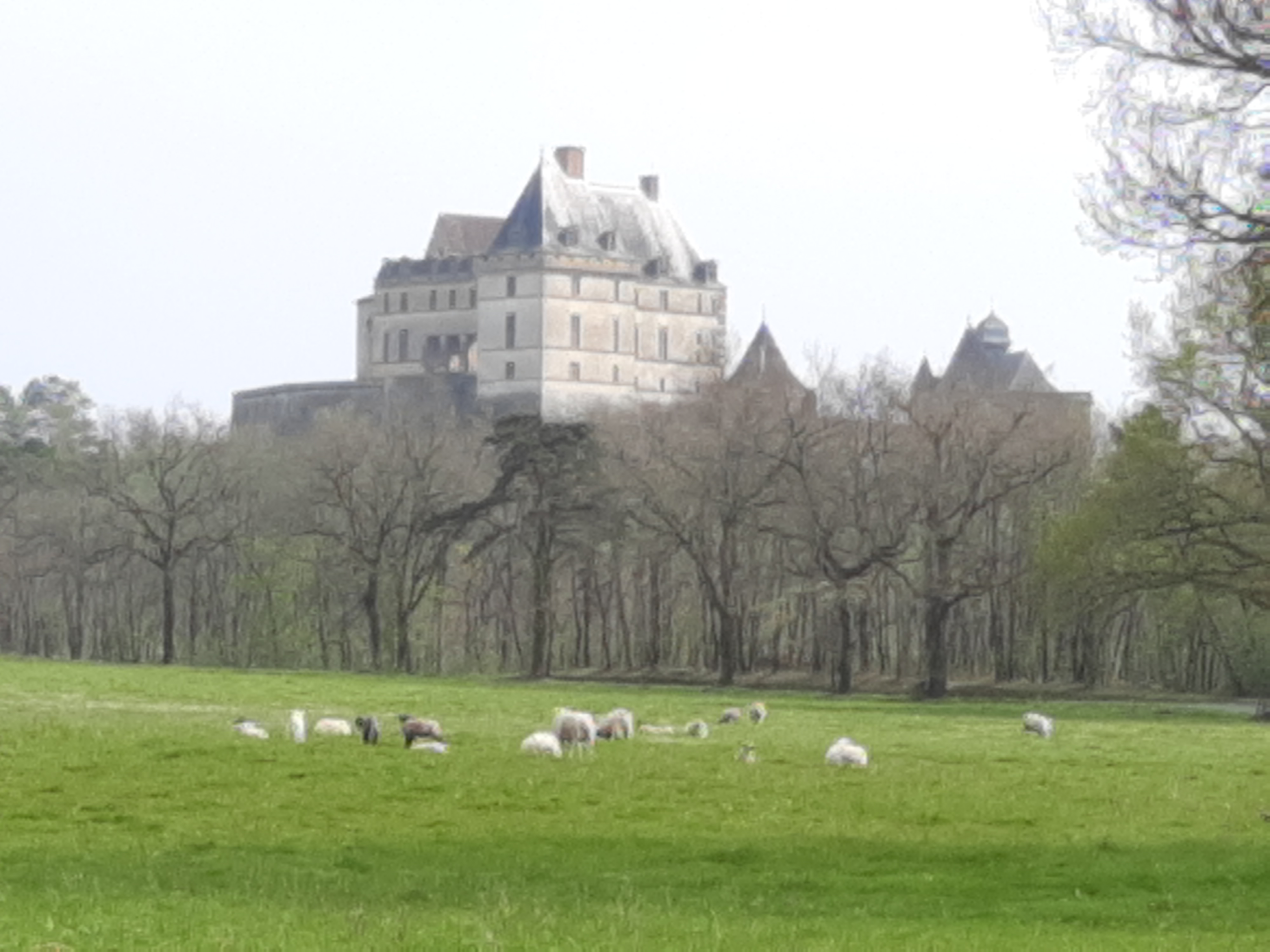 Photo n° 1 de l'avis de Bernard.a fait le 31/03/2022 à 16:59