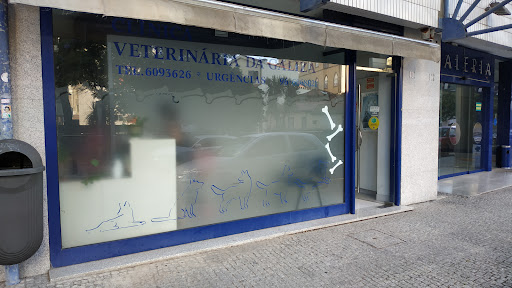 Clinica Veterinária da Galiza