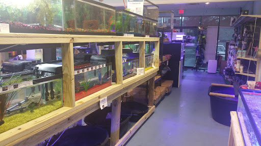 Tropical Fish Store «NOLA Aquatics», reviews and photos, 1705 LA-59 #10, Mandeville, LA 70448, USA