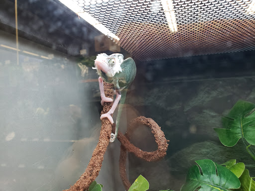 Pet Supply Store «Petco Animal Supplies», reviews and photos, 2005 W 8 Mile Rd, Detroit, MI 48203, USA