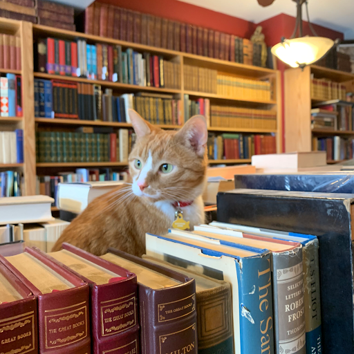 Book Store «Voyageur Book Shop», reviews and photos, 2212 S Kinnickinnic Ave, Milwaukee, WI 53207, USA