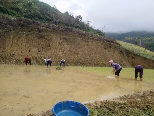 Top 17 cửa hàng elite Huyện Pác Nặm Bắc Kạn 2022