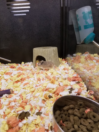 Pet Supply Store «PetSmart», reviews and photos, 170 E Stacy Rd, Allen, TX 75002, USA