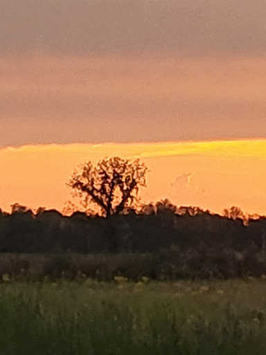 Tourist Attraction «Heflin Park», reviews and photos, 4323 W 700 N, Edinburgh, IN 46124, USA