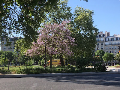 Tirmarche Dominique à Paris