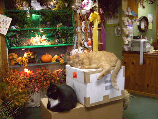 Florist «The Country Thyme Shoppe», reviews and photos, 321 Liberty St, Hanson, MA 02341, USA