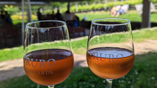 Winery «Truro Vineyards + South Hollow Spirits», reviews and photos, 11 Shore Rd, North Truro, MA 02652, USA